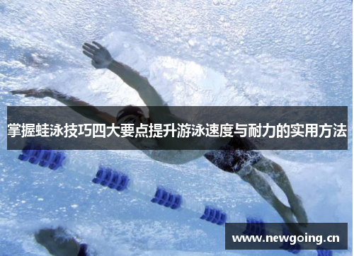 掌握蛙泳技巧四大要点提升游泳速度与耐力的实用方法