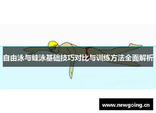 自由泳与蛙泳基础技巧对比与训练方法全面解析