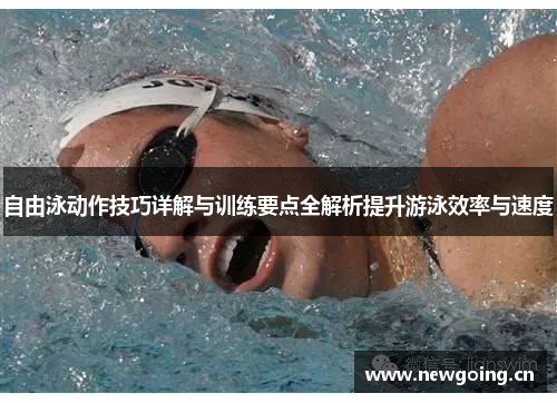 自由泳动作技巧详解与训练要点全解析提升游泳效率与速度